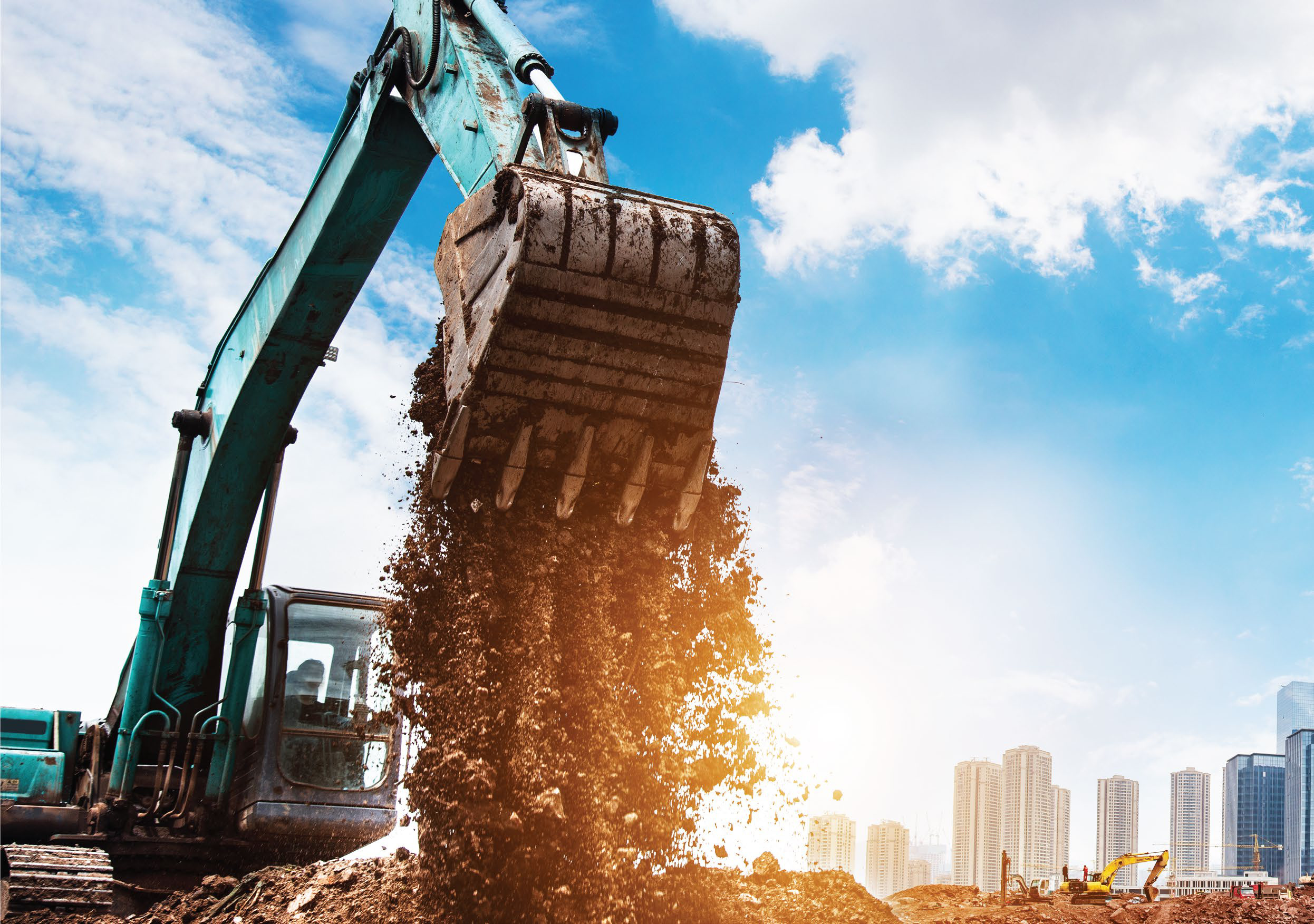 Company profile and professional operations